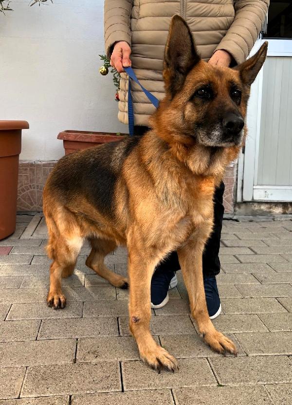 GIANNA PASTORE TEDESCO Foto 2